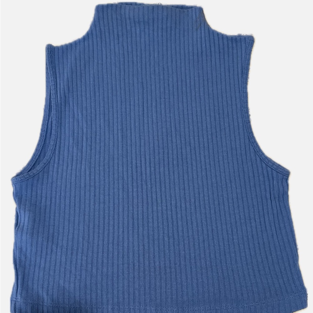 Mango Blue Ribbed Crop Top